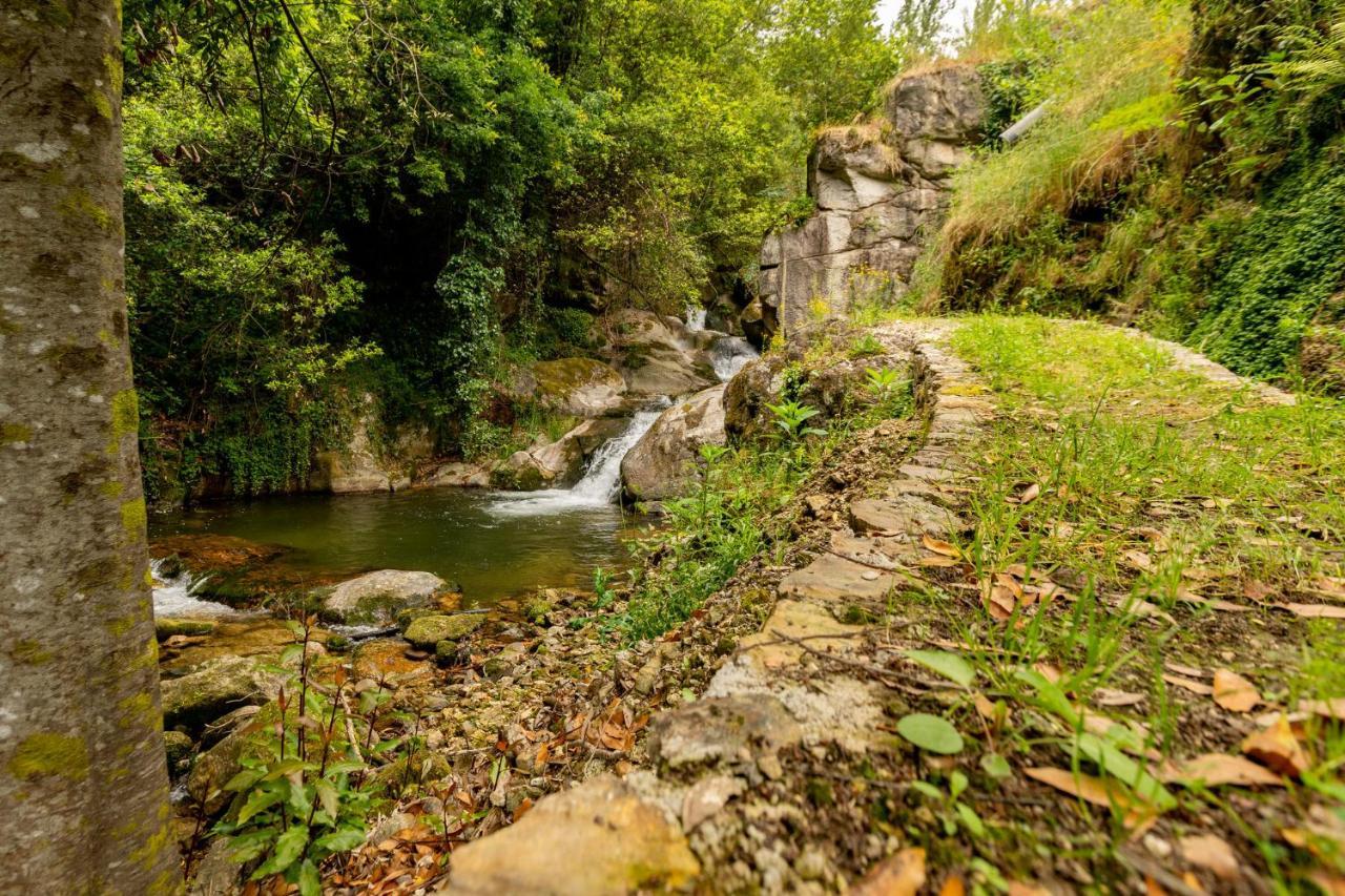 Casa Dos Limoeiros Em Ribas Villa Celorico De Basto Esterno foto