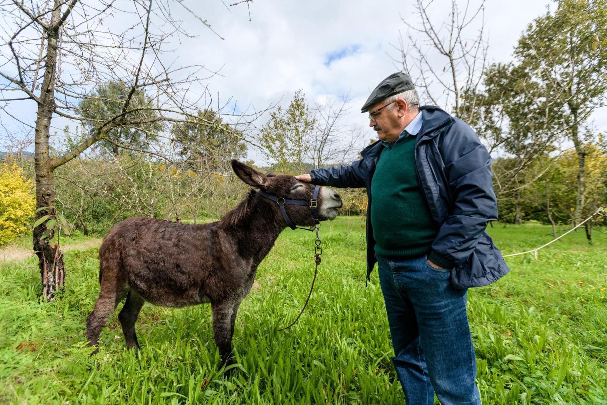 Casa Dos Limoeiros Em Ribas Villa Celorico De Basto Esterno foto